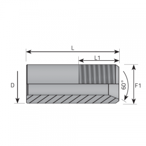 Welding union male BSPP. (ATSG)